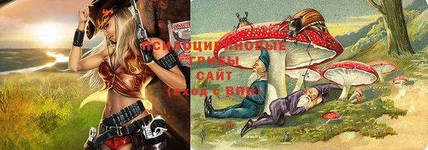 круглые Надым