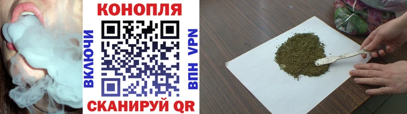 где найти   Шарыпово  Конопля SATIVA & INDICA 